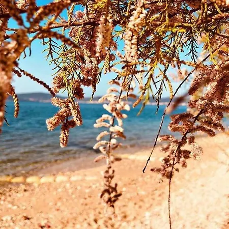 Monika - Private Terrace & Parking Apartamento