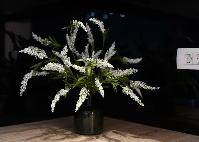 Monika - Private Terrace & Parking דירה